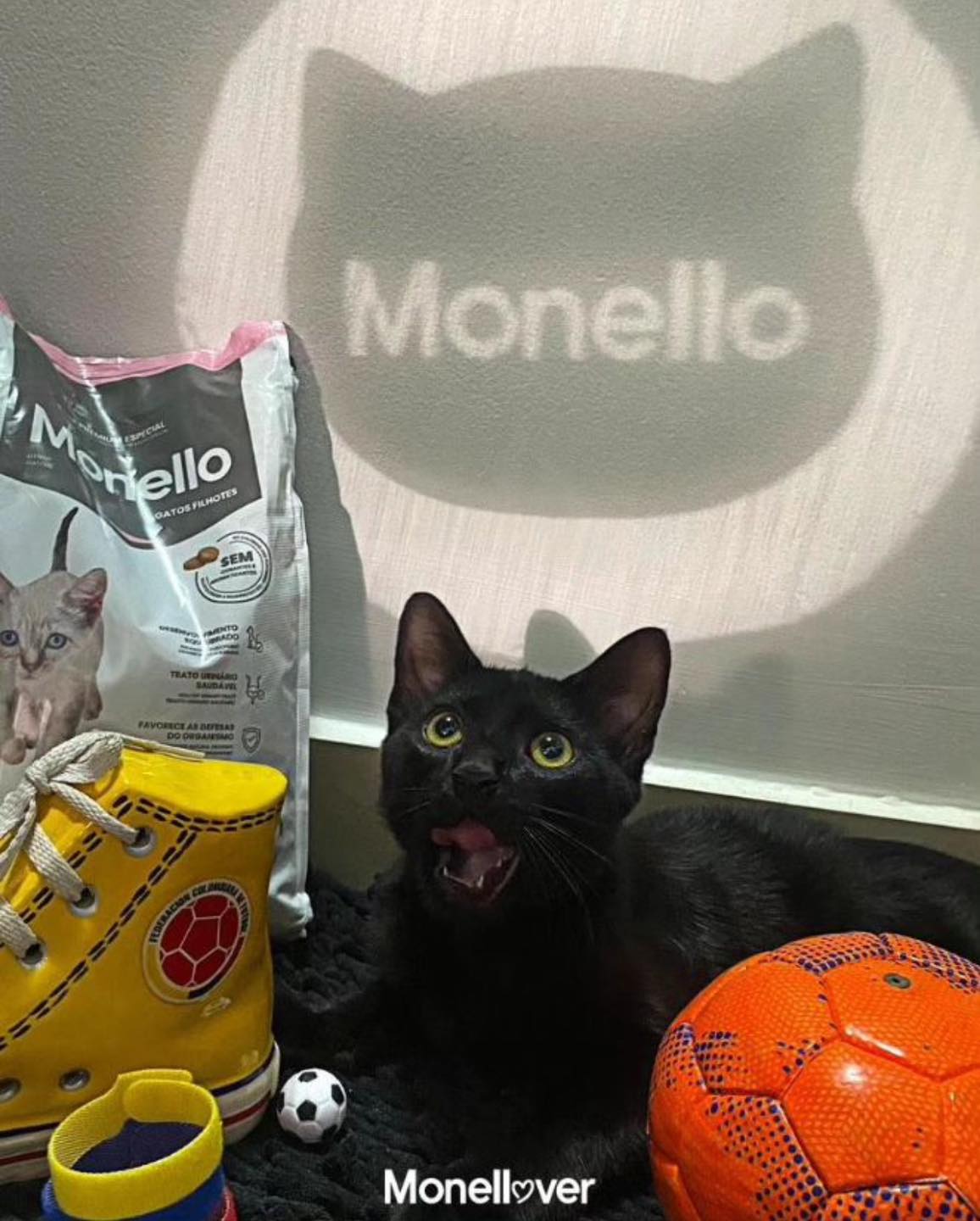 Monello - 😸 Hey there! I'm Batman, always ready for action, protecting ...