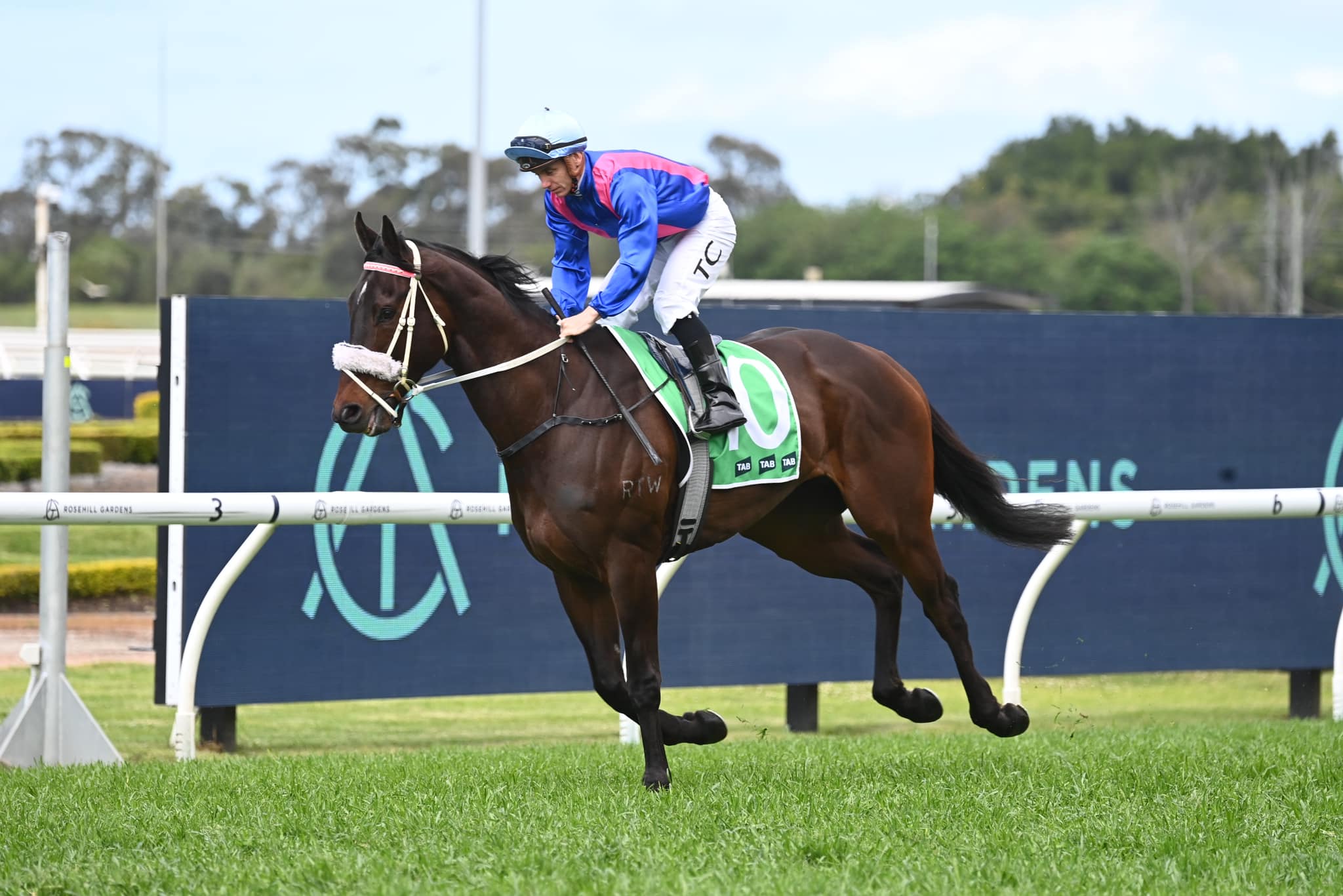 Emma Murphy Racing | Goulburn NSW