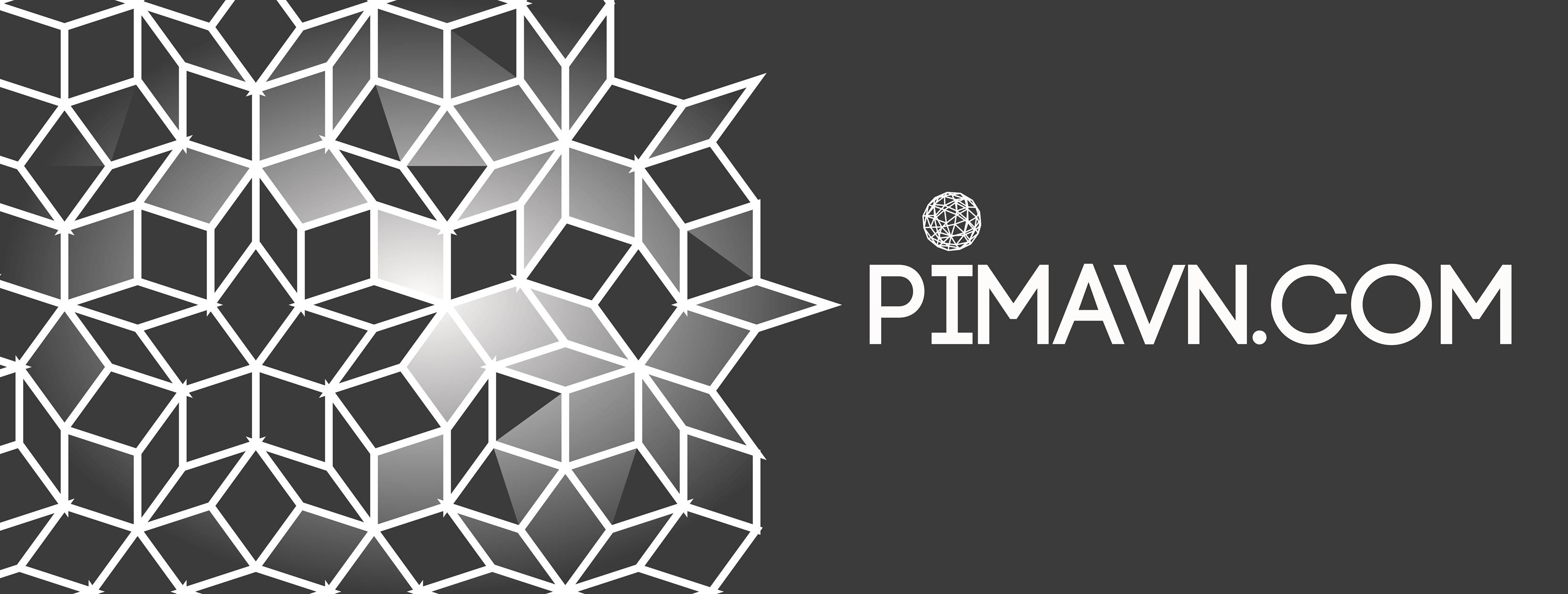PiMA - Projects in Mathematics and Applications
