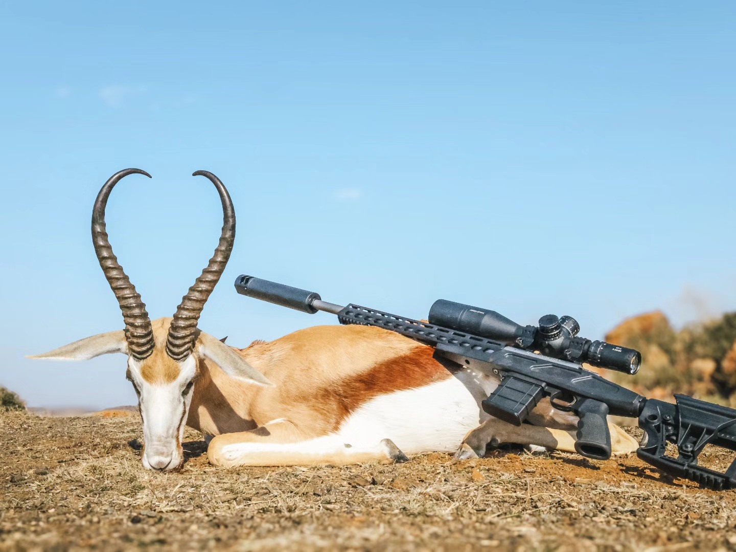 MEGA SPRINGBUCK - Congratulations to our client with this... | Facebook