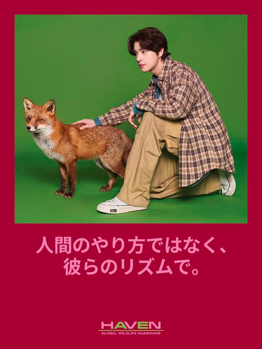ENHYPEN 'THE SIN : BLISS' <HAVEN> Photo (ENGENE Ver.) - #JAKE #엔