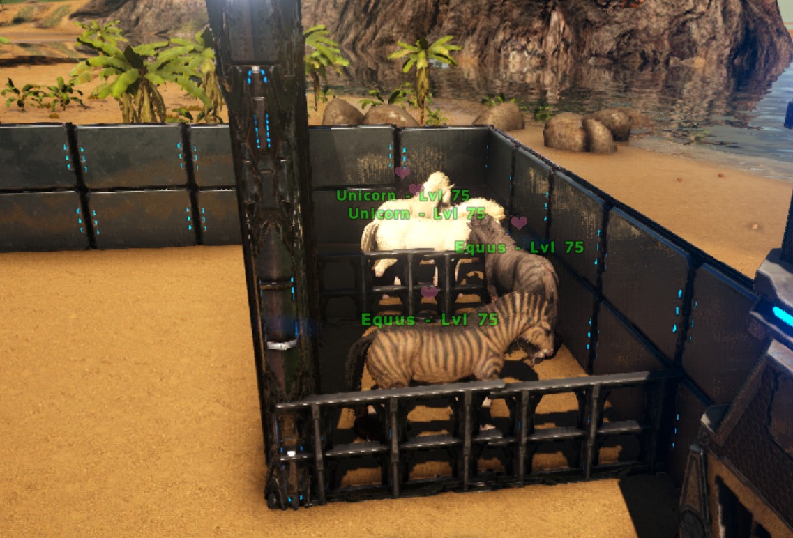 Welcome! - Ark Survival Ascended Buy Dinos and more
