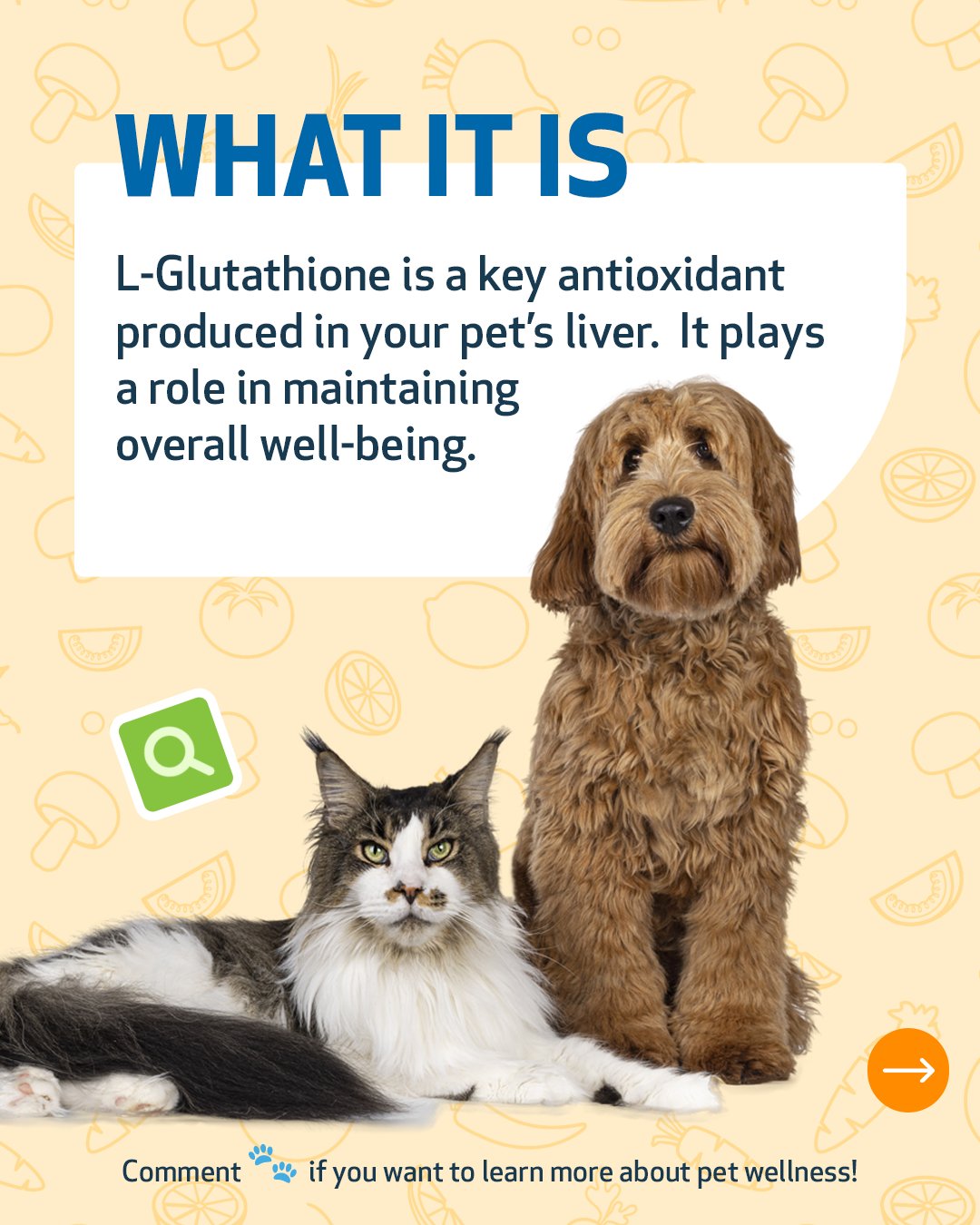 is glutathione safe for dogs Recommended dosages antioxidants in and cats It's estimated that up to
