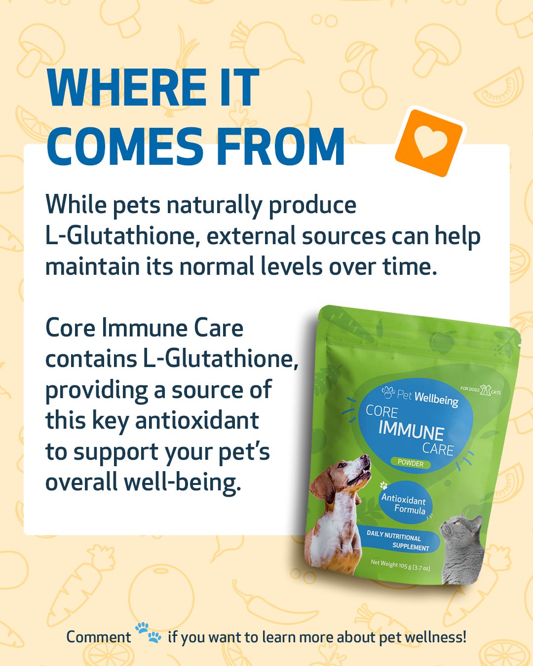 glutathione dog supplement Adding a to your pet's water can help them build up their immune system and stay healthy. With Pet Immunity/Longevity Antioxidant, it's as easy as stirring it into your pet's water Does Bacteriostatic Water Need Taille:250 grammes (8,8 onces) Chronic bronchitis
