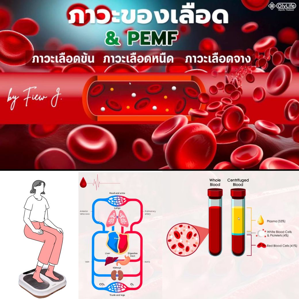 สุขภาพดีด้วย K.O Tel 0995688501 | Ban Talat Rangsit