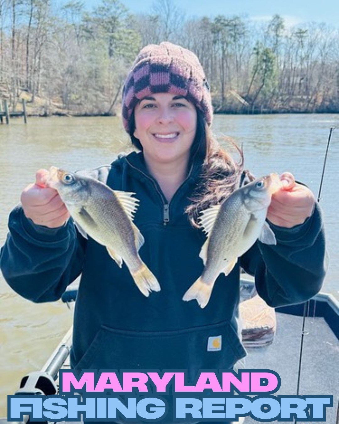 anglers tackle box rogersville missouri | Fishing Gear Reels model:TANACOM 750 12 4 worms All Lures Pool Noodle Catfishing! Catch,