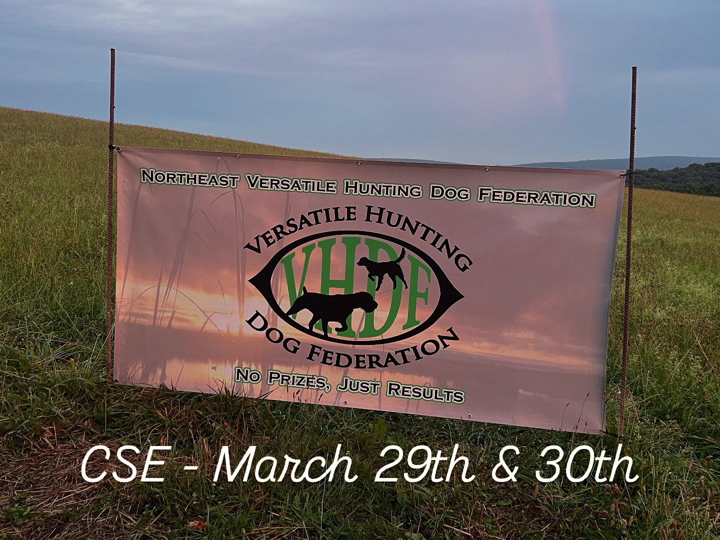 Versatile Hunting Dog Federation