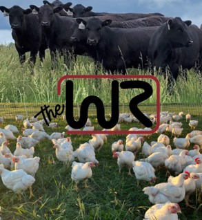 Wilmoth Ranch | Mount Vernon MO