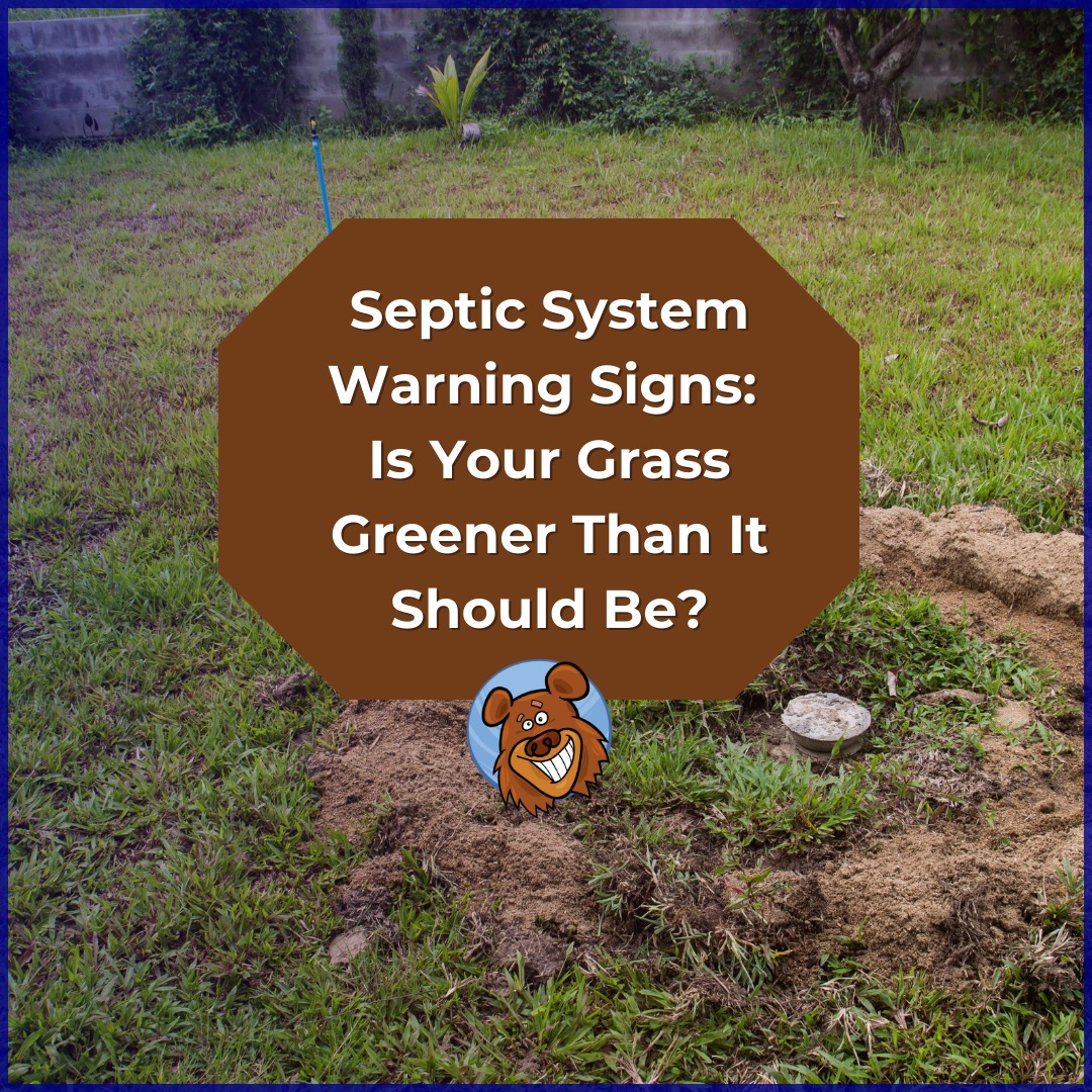 Great - 🚨 Septic system warning sign! Is your grass looking too green ...