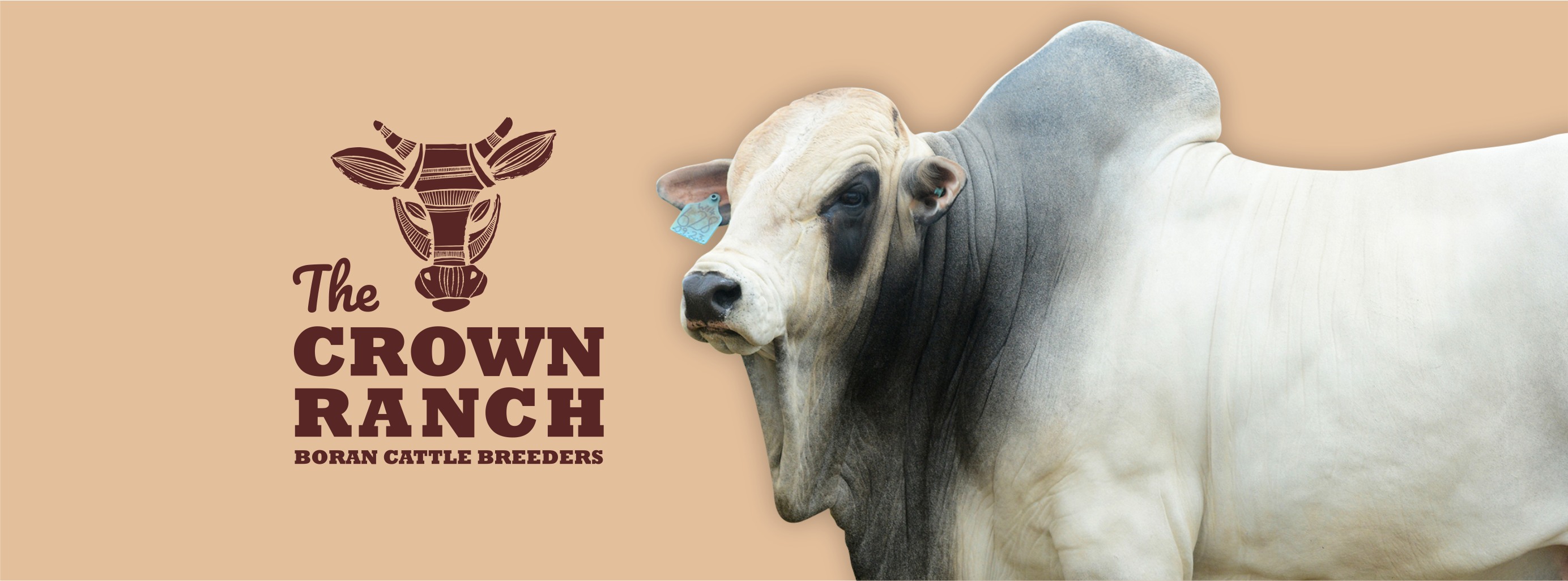 Crown Ranch