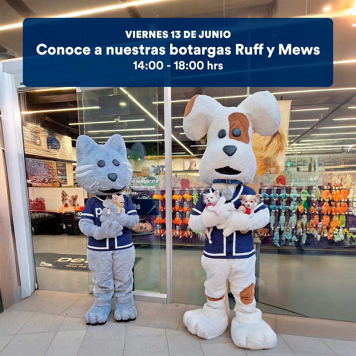 Petco México