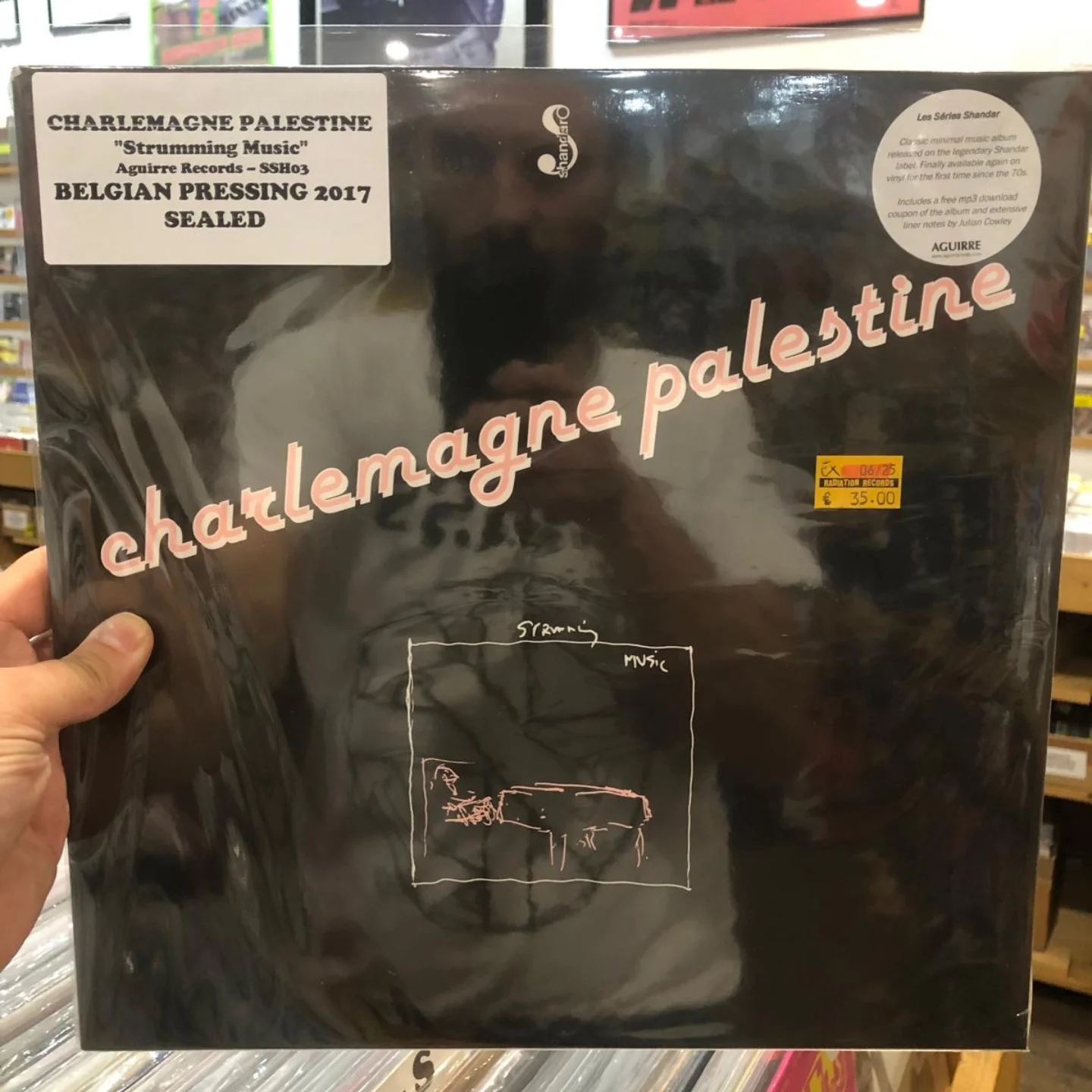 Radiation - ⚡USED RARE LP ⚡ Charlemagne Palestine 