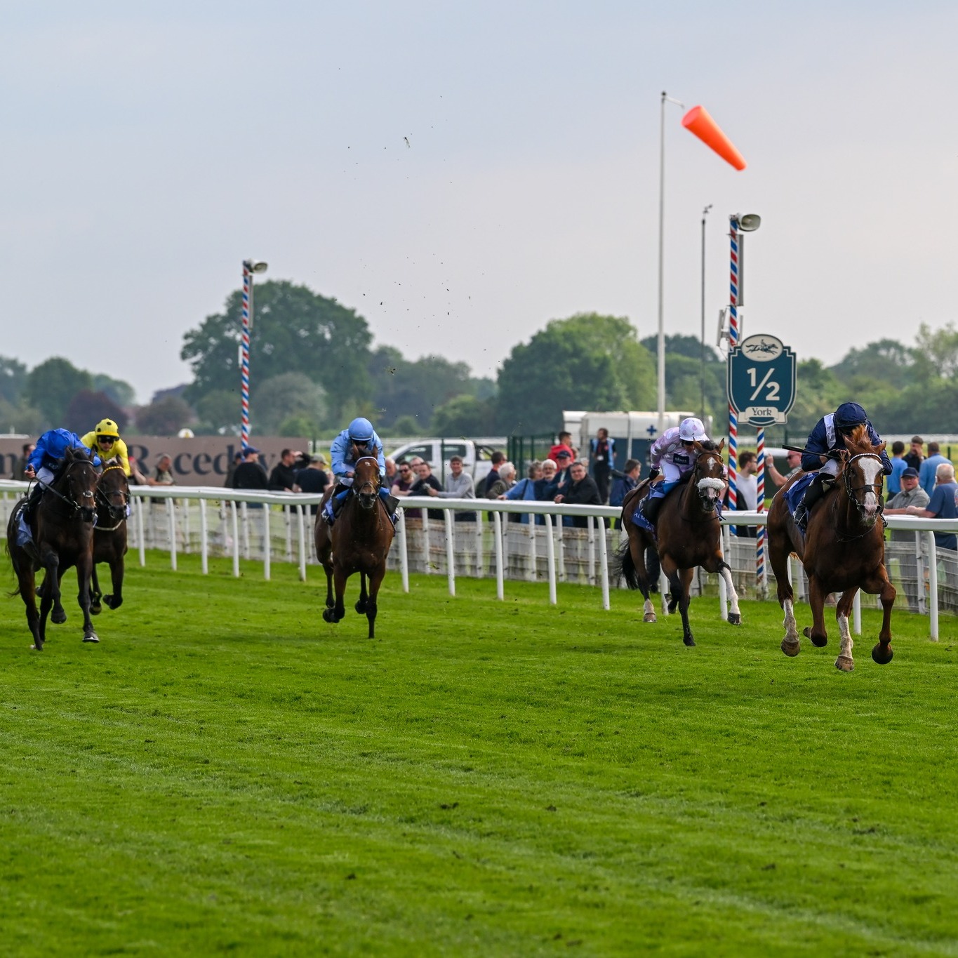 York Races | York