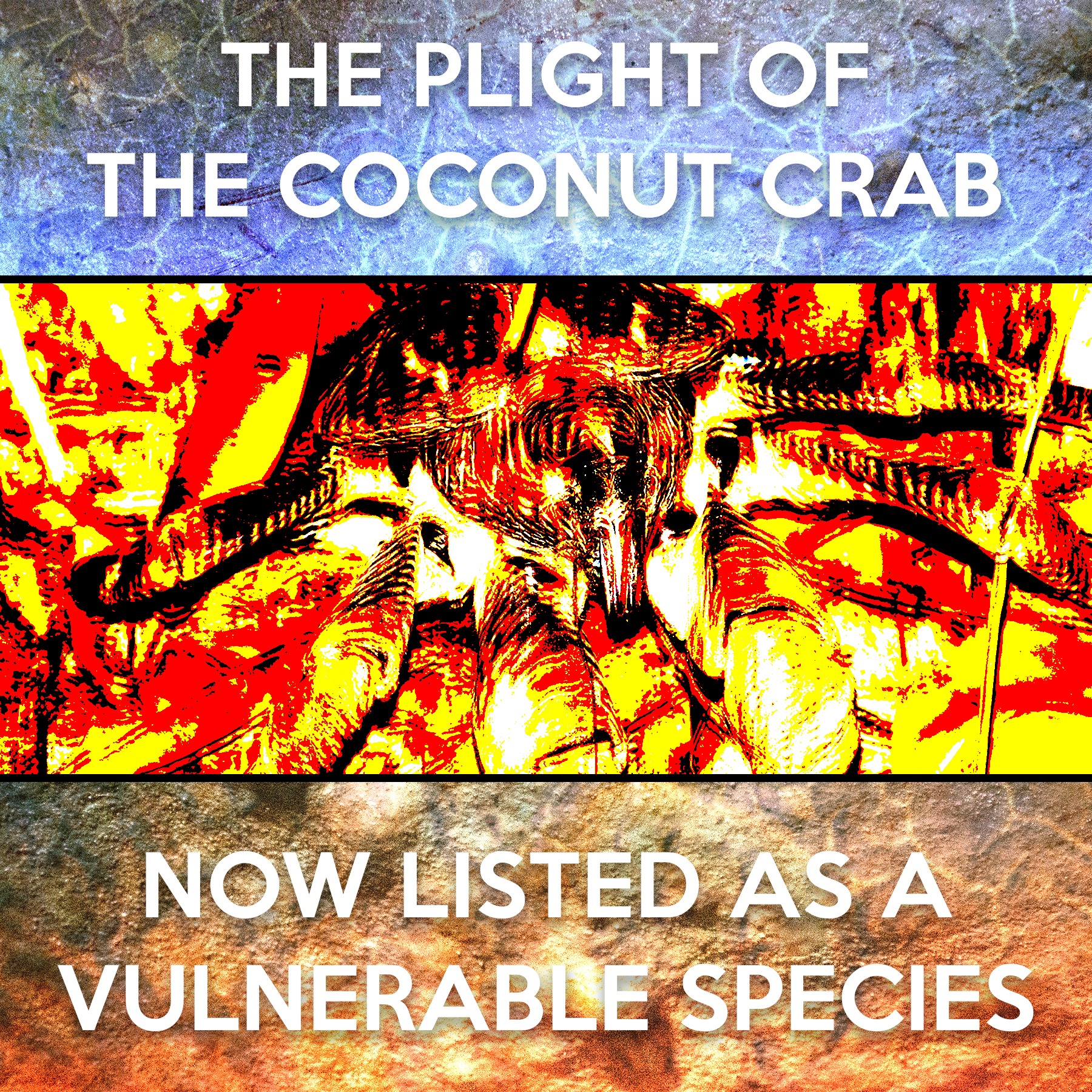Coconut Crab Predators and Threats