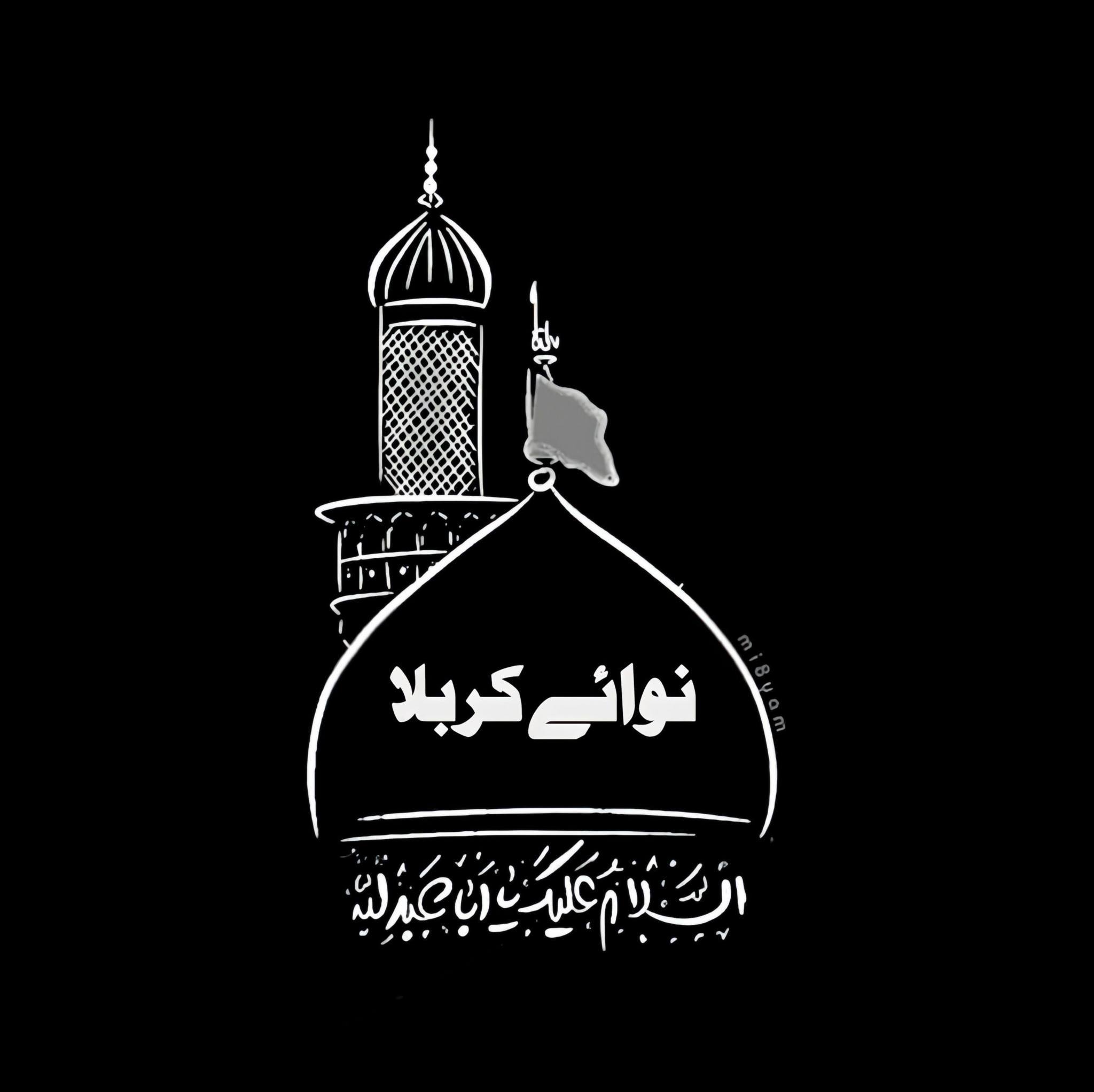 مصائب واقعہ ناصرہ زاکر سید ابرار حسین نقوی آف ساہیوال | نوائے کربلا