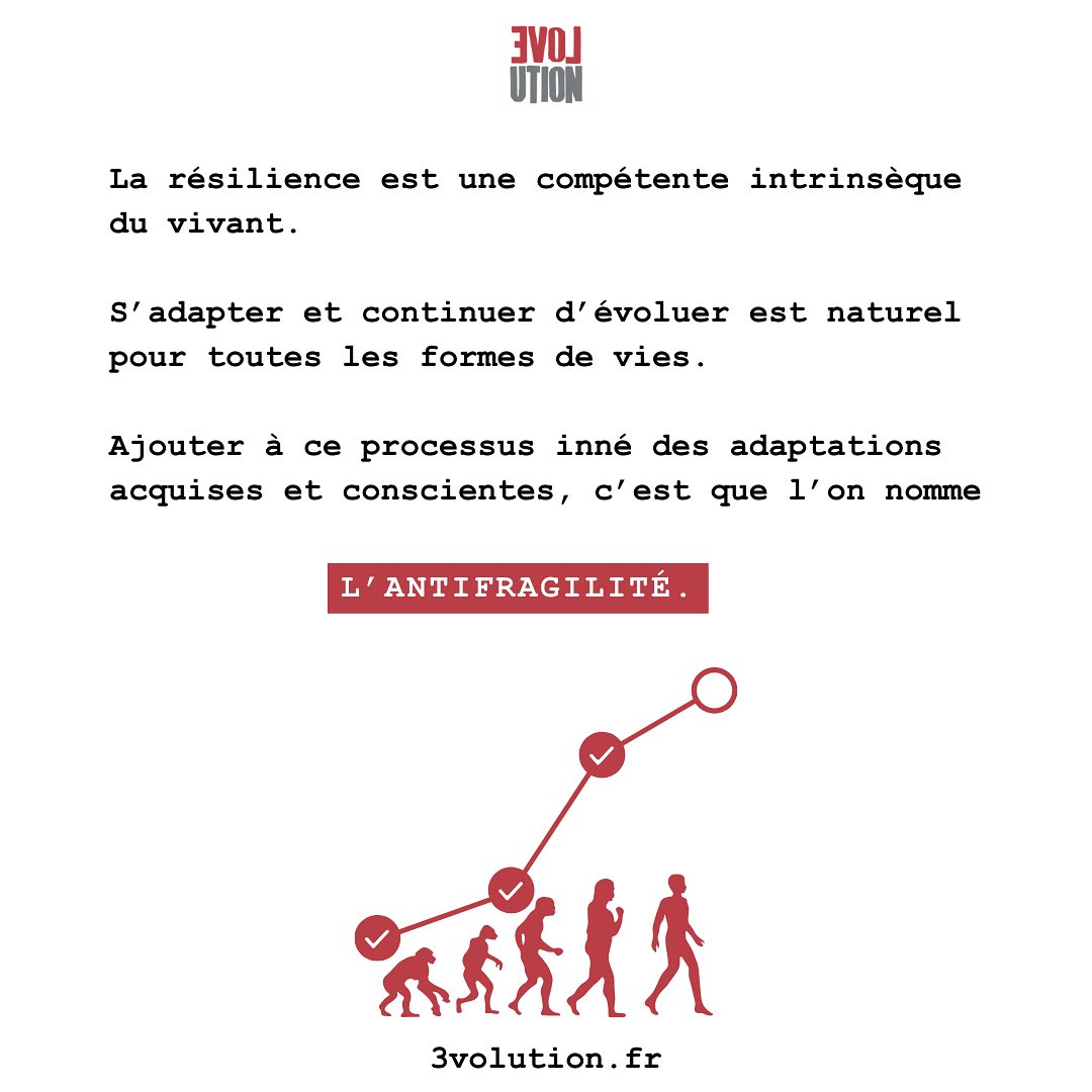 3volution