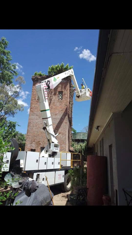 Rouse Tree Services