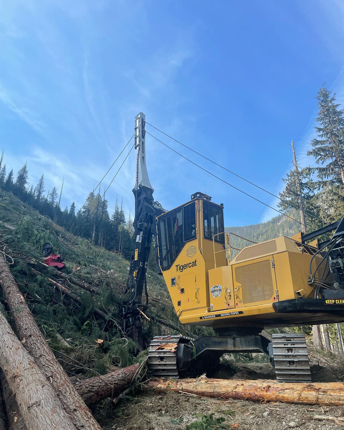 Tebulte logging - Our tigercat 875 harvest line ready to... | Facebook