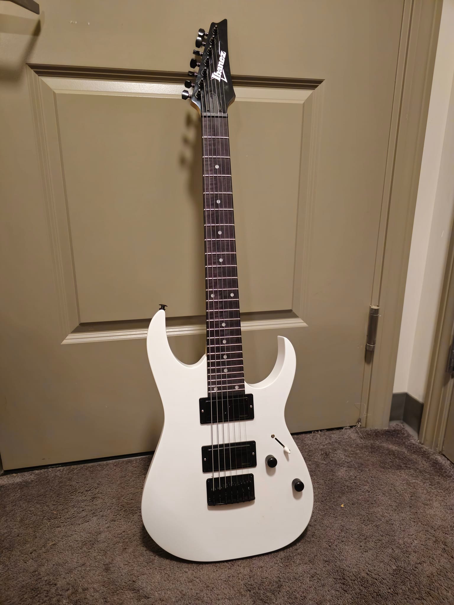 10弦 agile FISHMAN Fluence ギター 多弦 FISHMAN - Fluence Open Core