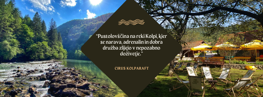 Trgovina - PREDSTAVITEV VRSTE Avstralska zebrica(Taeniopygia guttata) 📣 ...