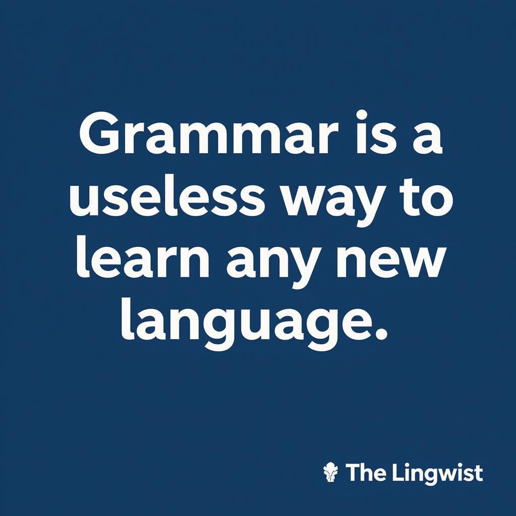 The Lingwist - You don’t learn to swim by memorizing the... | Facebook