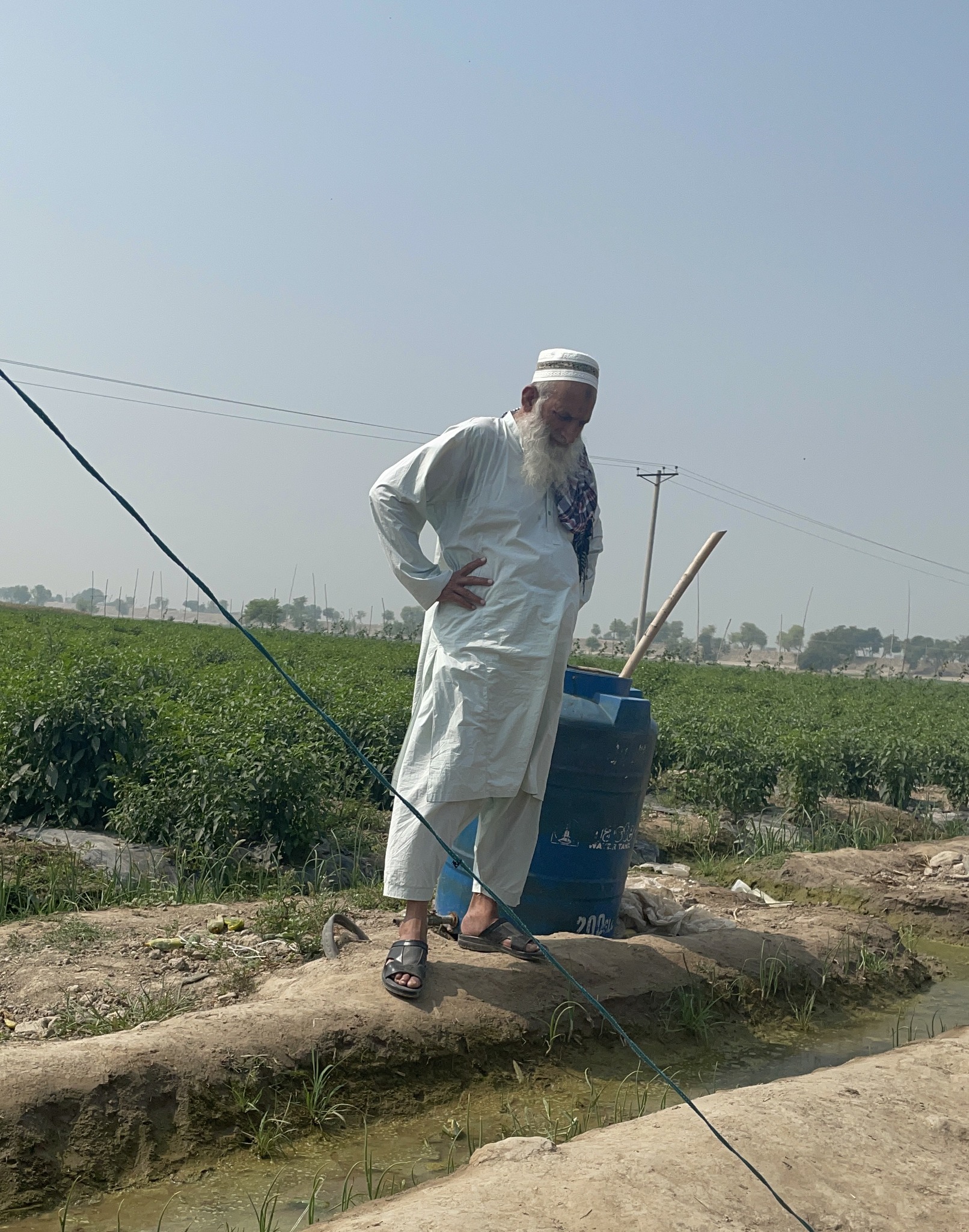Master Samiullah | Mailsi