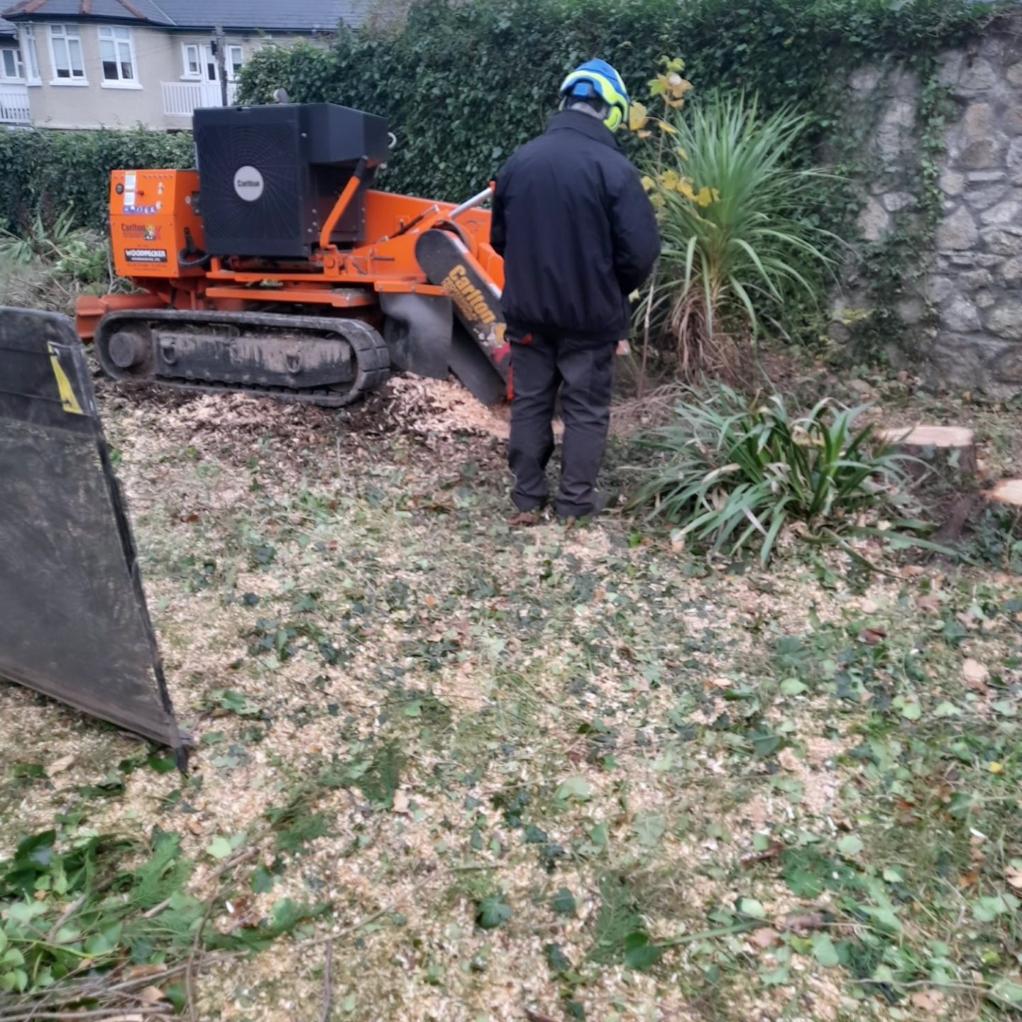 Ryan Tree Services & Landscaping | Dublin