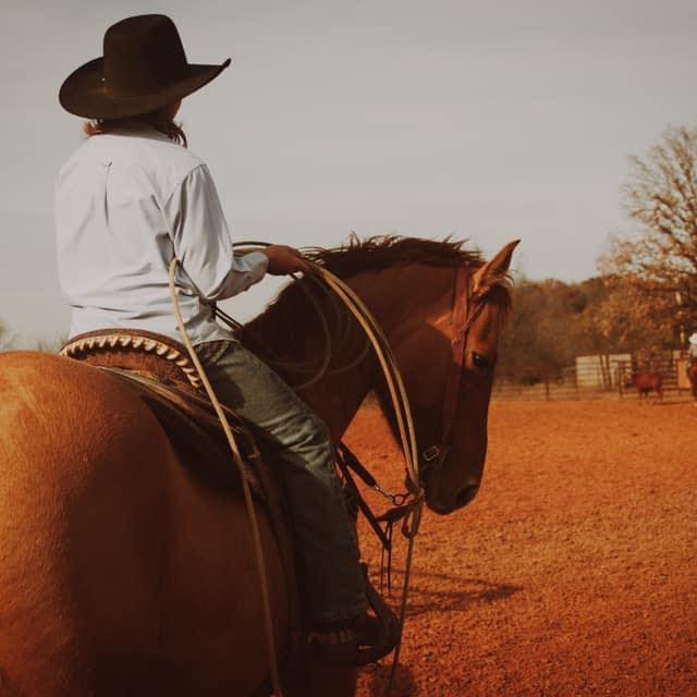 Triple P Ranch