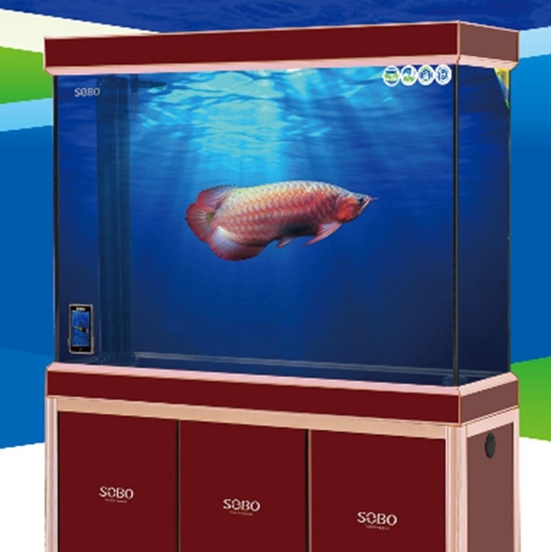 Bela Ikan Dalam Aquarium Videos Facebook