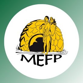 MEFP | Bangui