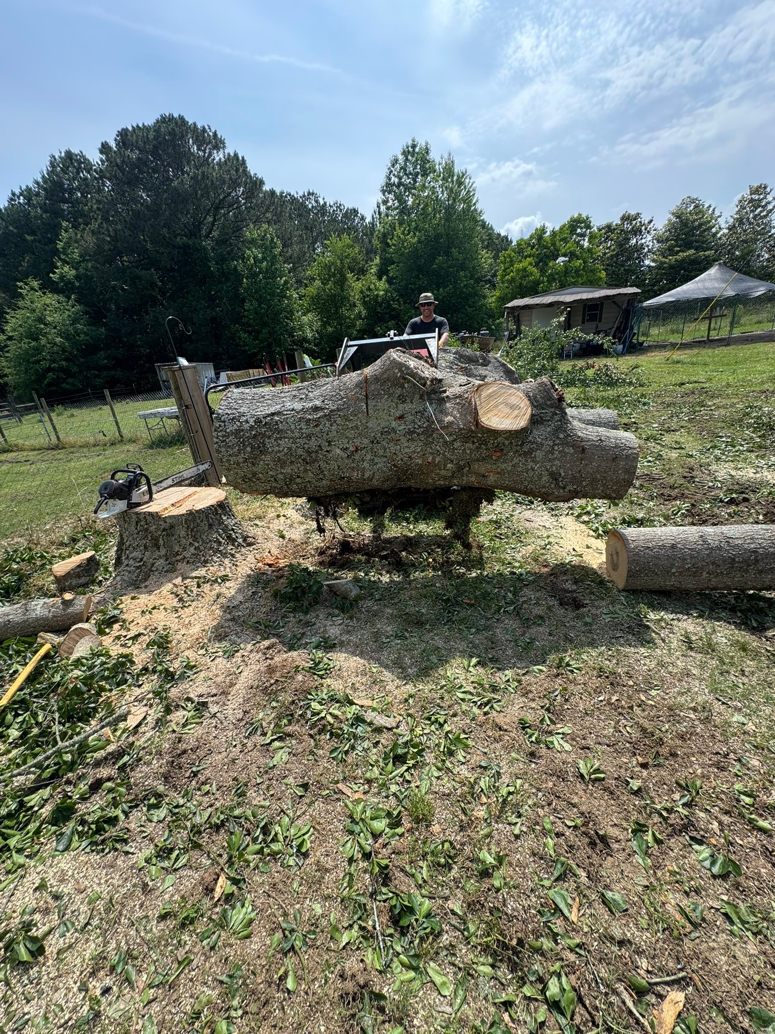 The Tree Barber