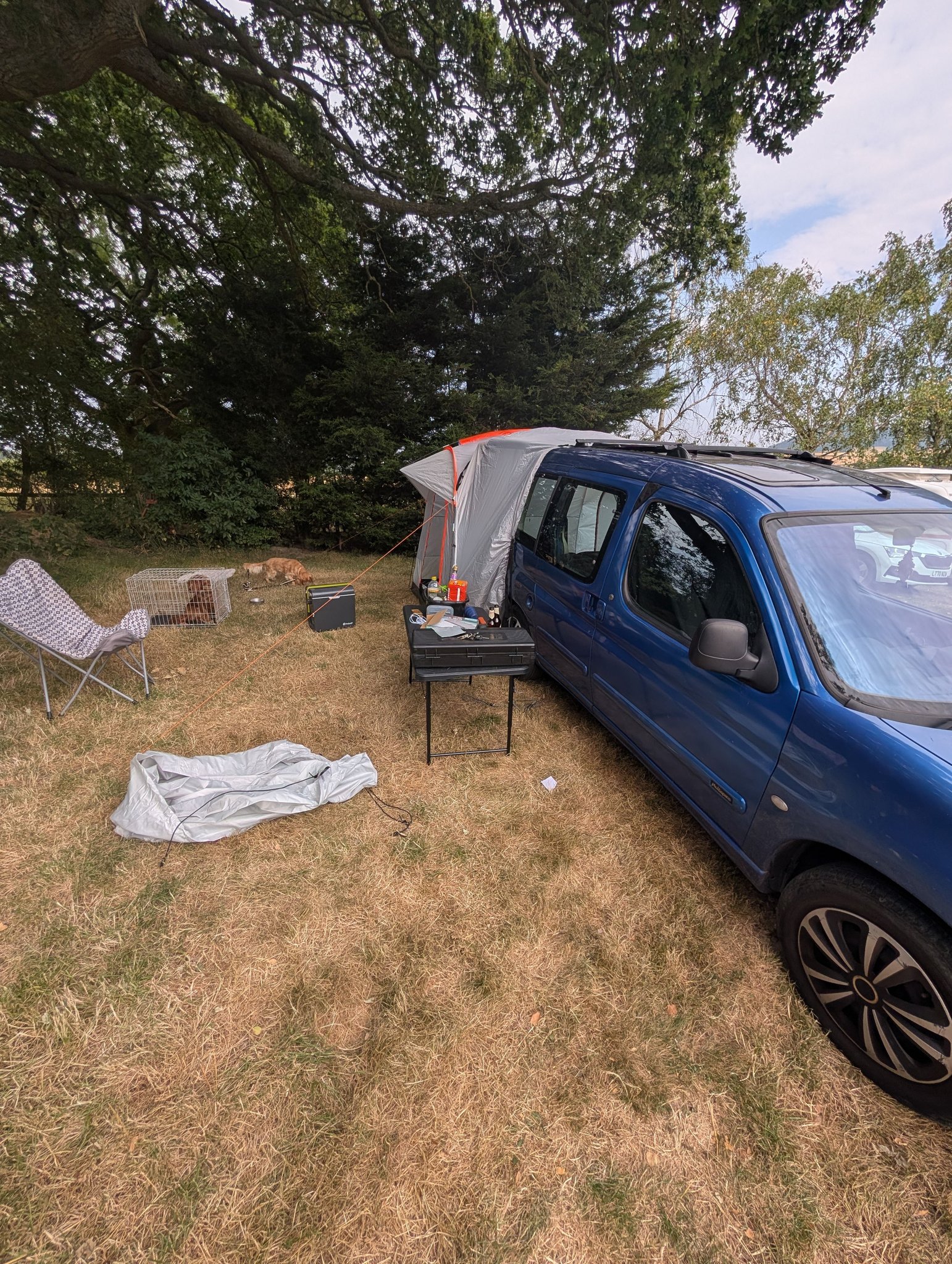 flex stretch tent Bedouinflex PU Premium Tents Prescription Type:+1.50 Cube ACCESS WLS GTC 12v gear motor datasheet Zpacks Offers the Best
