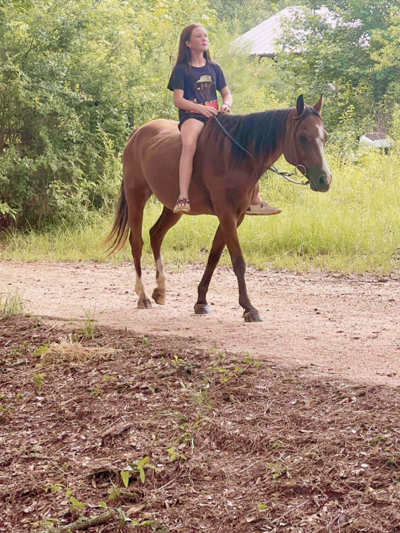Rocking R Ranch and... - Rocking R Ranch and Rescue, Inc.