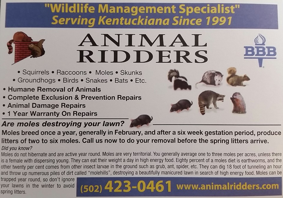 Animal Ridders Inc. | Louisville KY