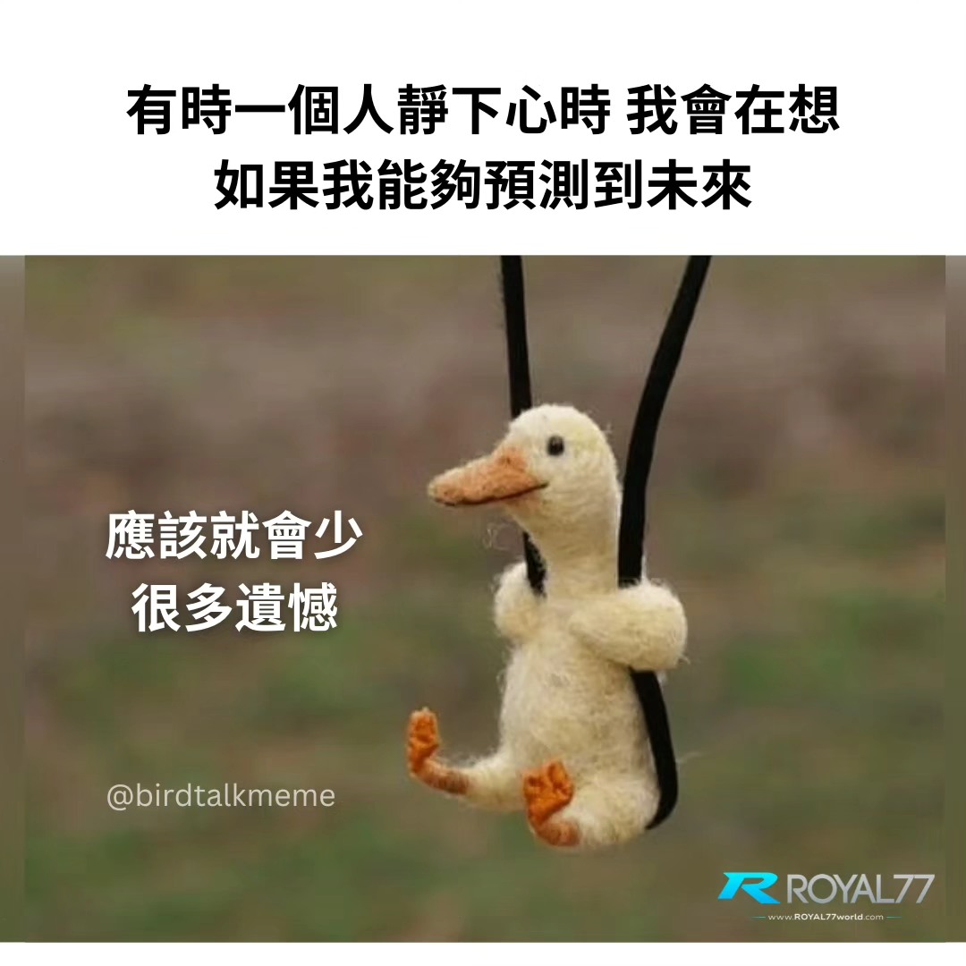 人總是在猶豫與遺憾之間徘徊 . IG: birdtalkmeme .... - 讲鸟话迷迷 Bird Talk Meme | Facebook