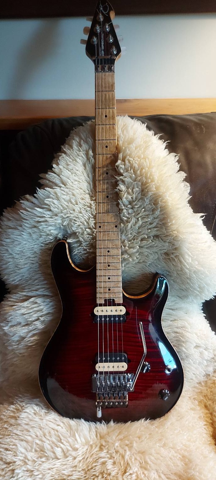 Peavey HP Special guitar for sale in Salmon Arm, BC, Canada