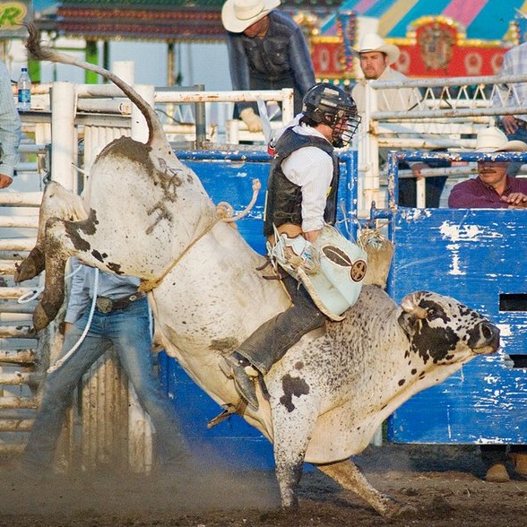 Abdallah Shriner RODEO - Home