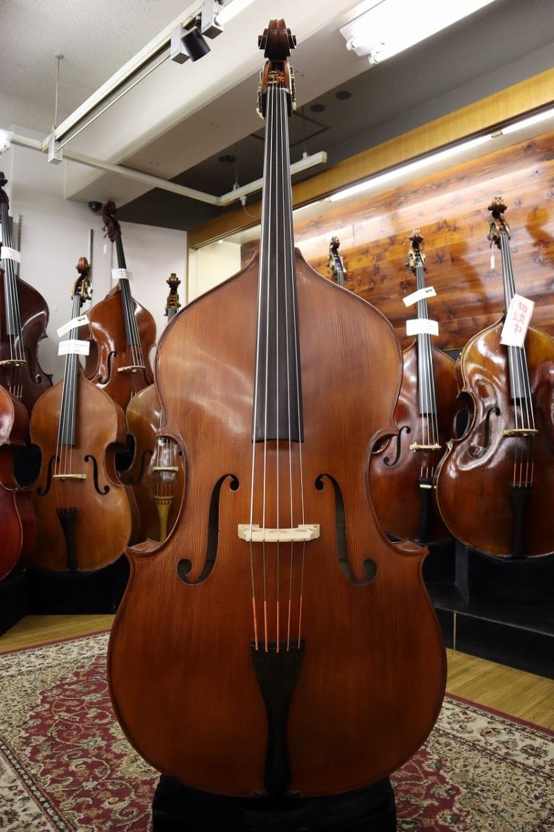 Gliga・グリガのフルサイズ5弦が待望の入荷! この大きさにふさわしい重 