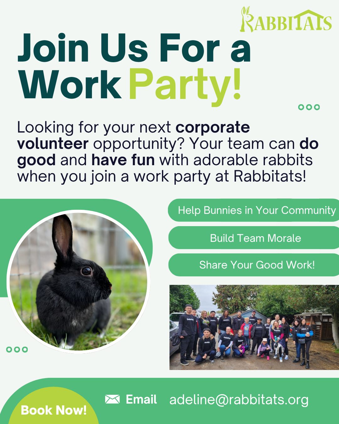 Rabbitats