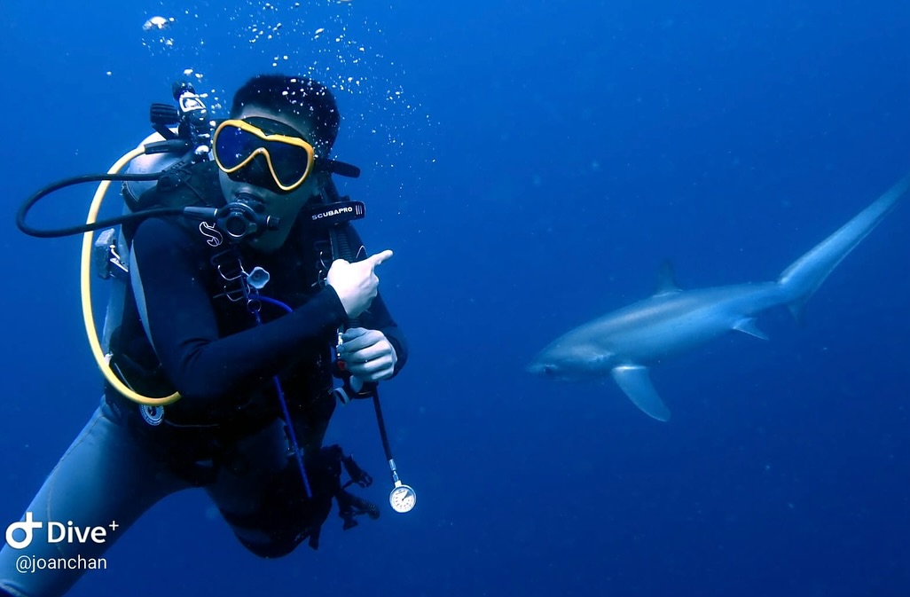 我與長尾鯊的約會 🦈 菲律賓宿霧 - MALAPASCUA(媽媽島)... - 方紹聰 Milkson - 奶仔 | Facebook