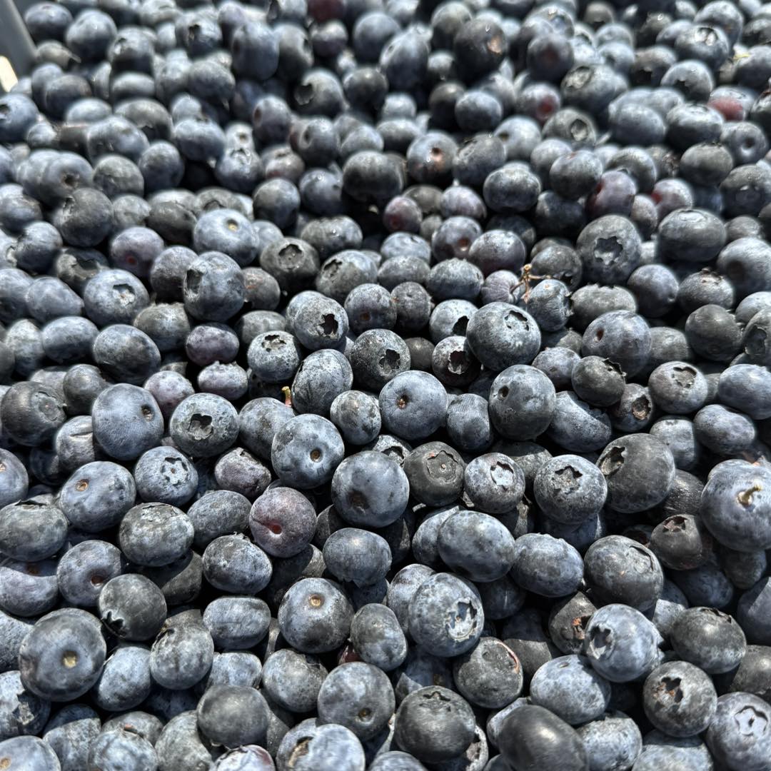 Deep Roots Produce | Alto MI