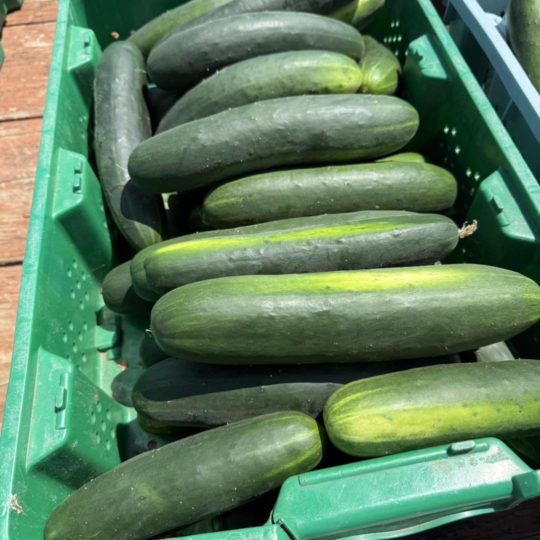 Deep Roots Produce | Alto MI