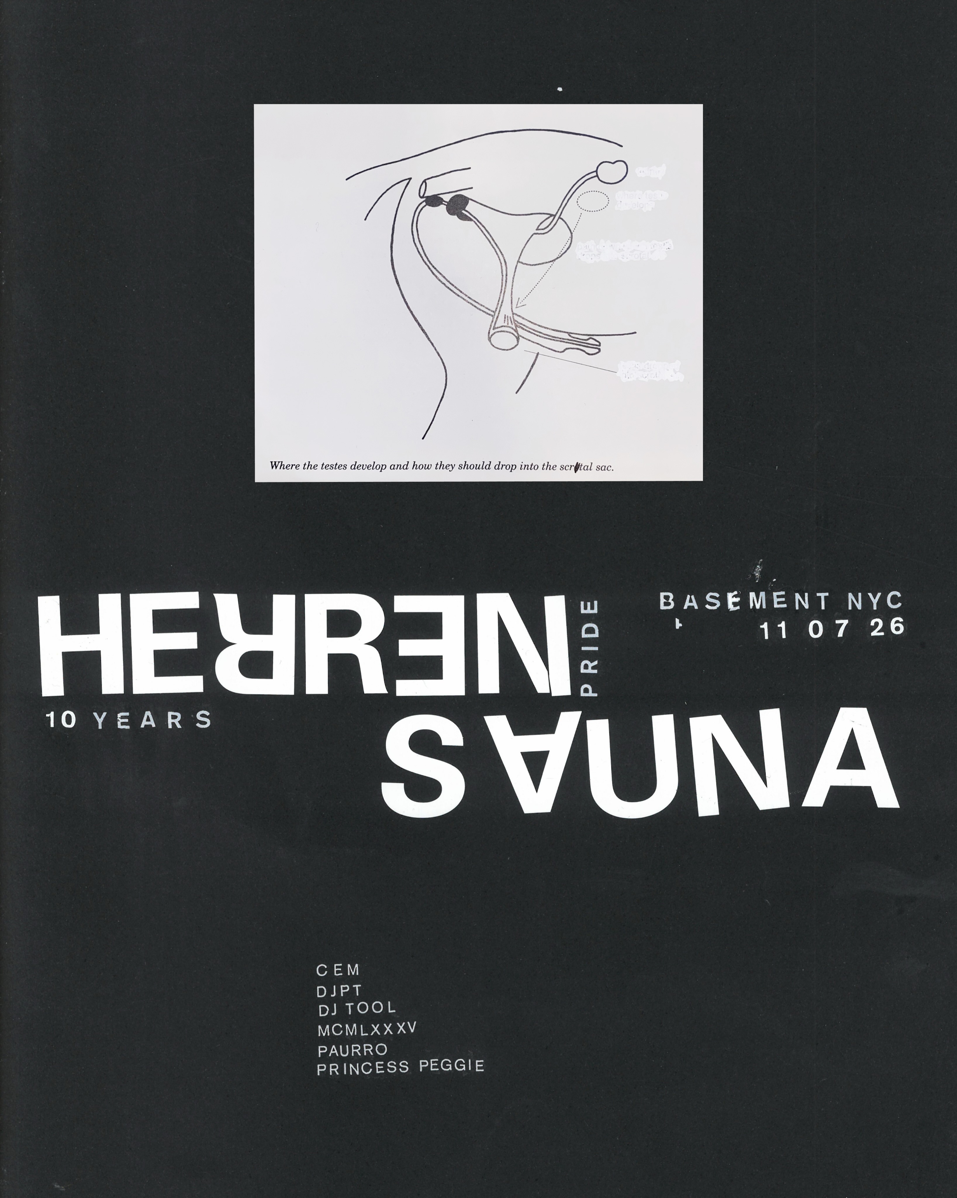 It's official! Our 10-year, 10-artist compilation is out now
