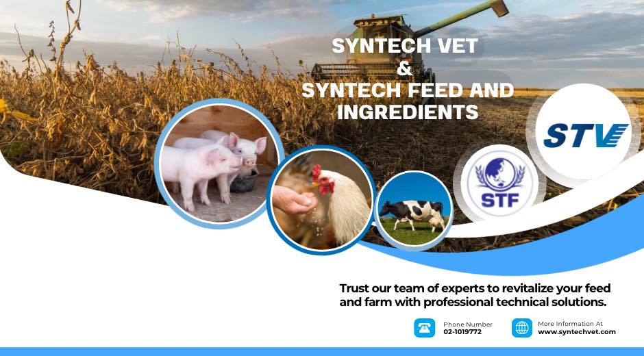 Nuevotec สารเสริมอาหารสัตว์ flavour sweetener antioxidant prebiotic ...
