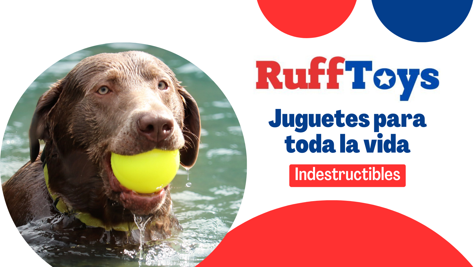 Ruff Toys | Guadalajara