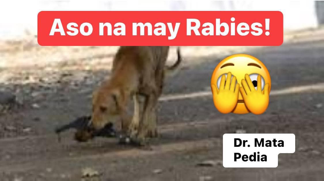 Aso na may Rabies Bakit... - Dr. Richard and Erika Mata
