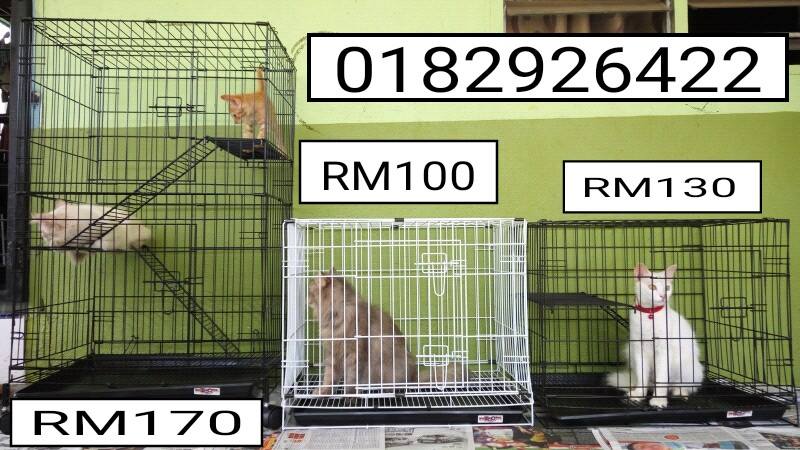 Temerloh Sangkar Murah Ibby Petshop Home Facebook