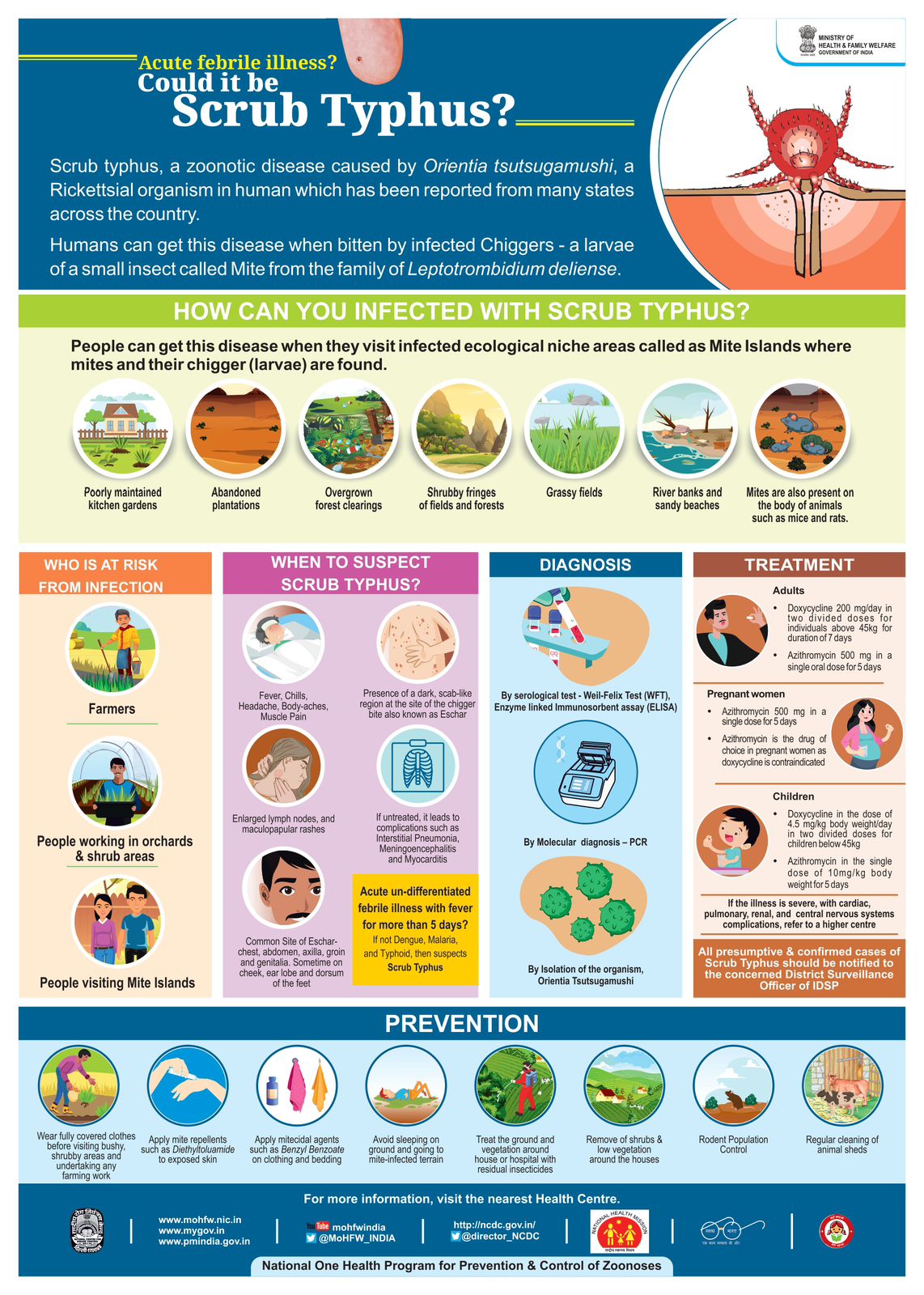 On #WorldZoonosesDay, be aware of Scrub Typhus—a mite-borne zoonotic ...