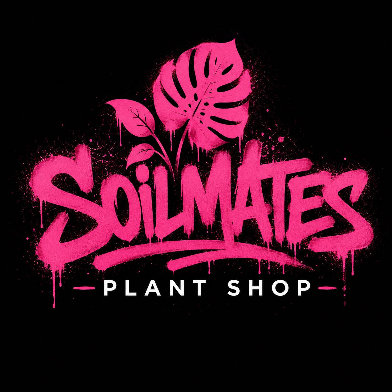 anti-social-plant-club-okay-soilmates-plant-shop-facebook