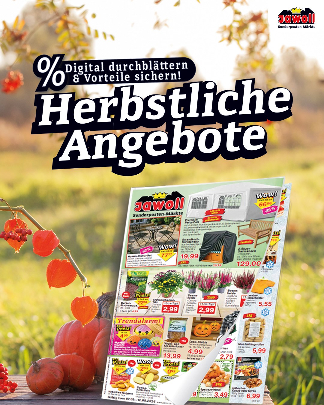 🍂 Der September bringt neue Angebote mit sich! ✨ Unser neuer Jawoll- Prospekt ist da! Entdecke praktische Helfer für Haus & Alltag, herbstliche Must-haves, aktuelle Trends und leckere Highlights. 🛒 📅